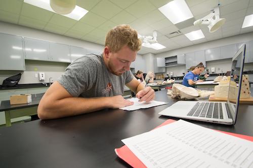 An engineering student working on his own at his desk